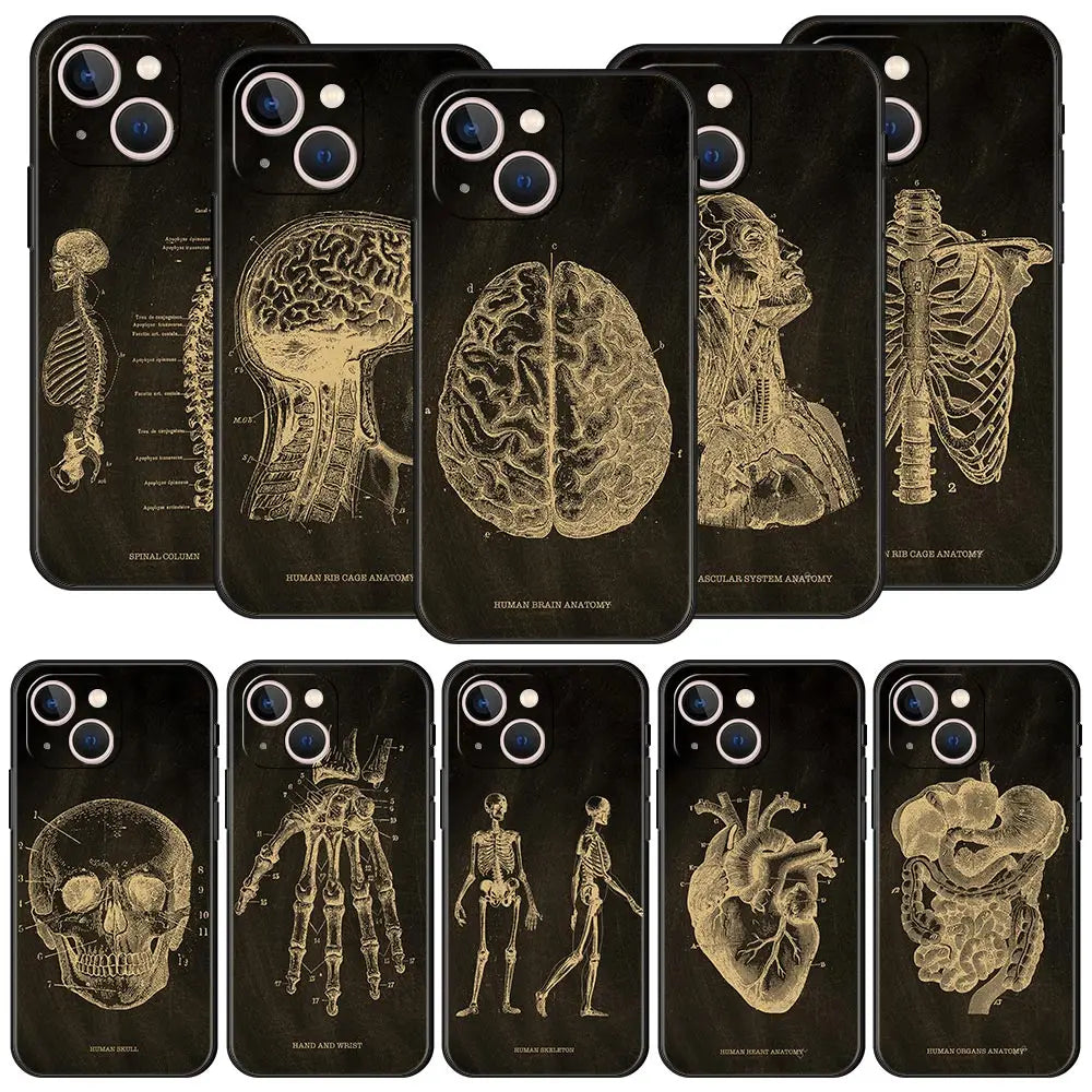 Anatomy Skeleton Chalkboard Body Heart Phone Case for iPhone