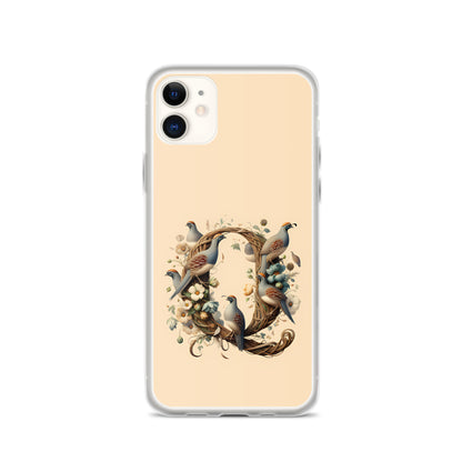 Q for iPhone-Clear Case