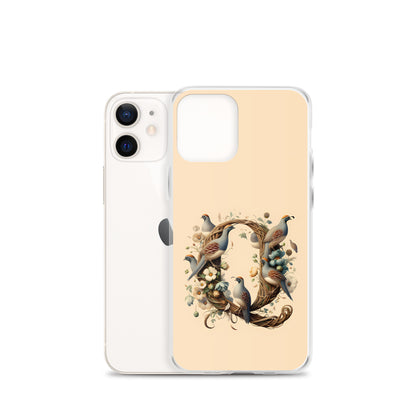 Q for iPhone-Clear Case