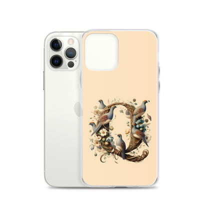 Q for iPhone-Clear Case