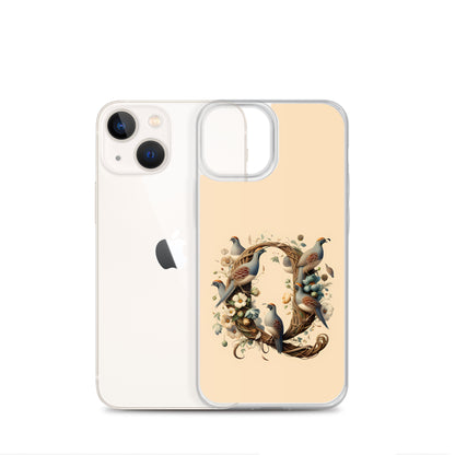 Q for iPhone-Clear Case