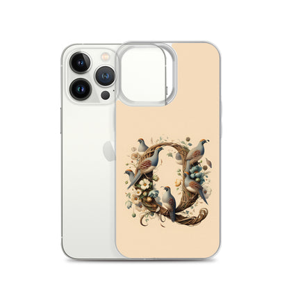 Q for iPhone-Clear Case