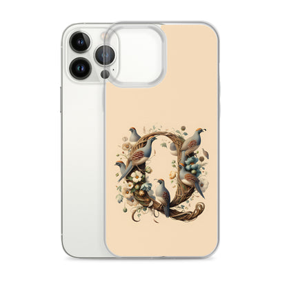 Q for iPhone-Clear Case