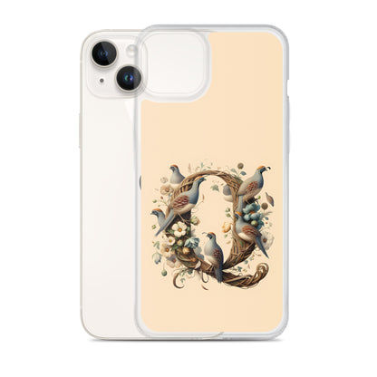 Q for iPhone-Clear Case