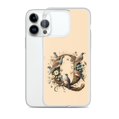 Q for iPhone-Clear Case