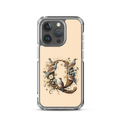 Q for iPhone-Clear Case