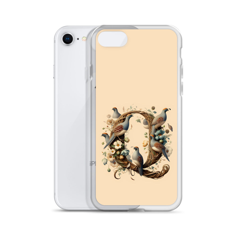 Q for iPhone-Clear Case