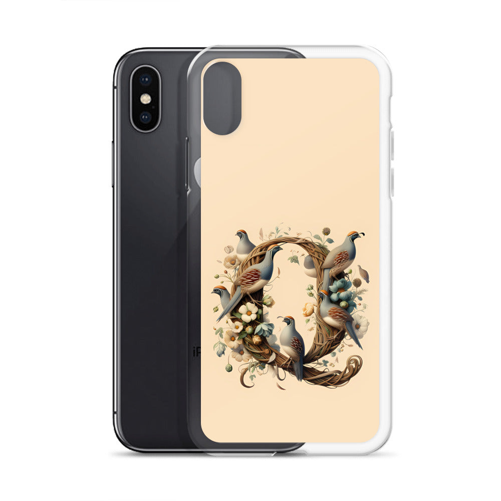 Q for iPhone-Clear Case