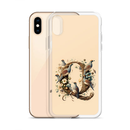 Q for iPhone-Clear Case