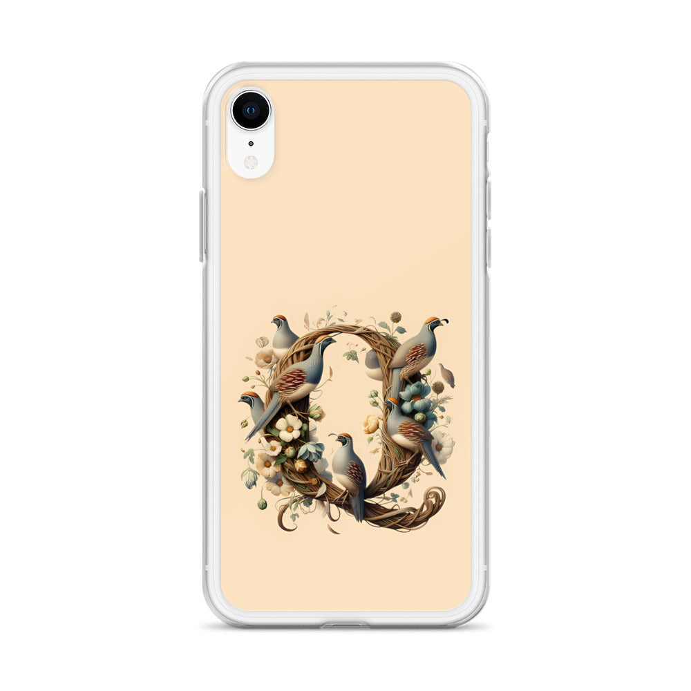 Q for iPhone-Clear Case