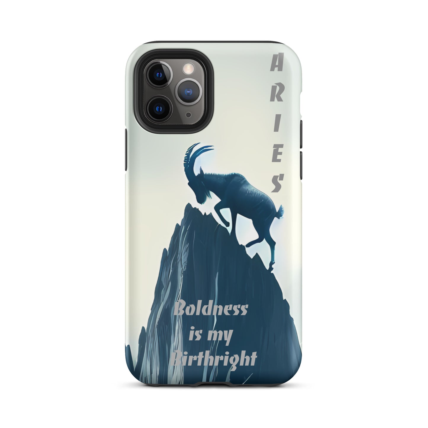 Aries for iPhone®