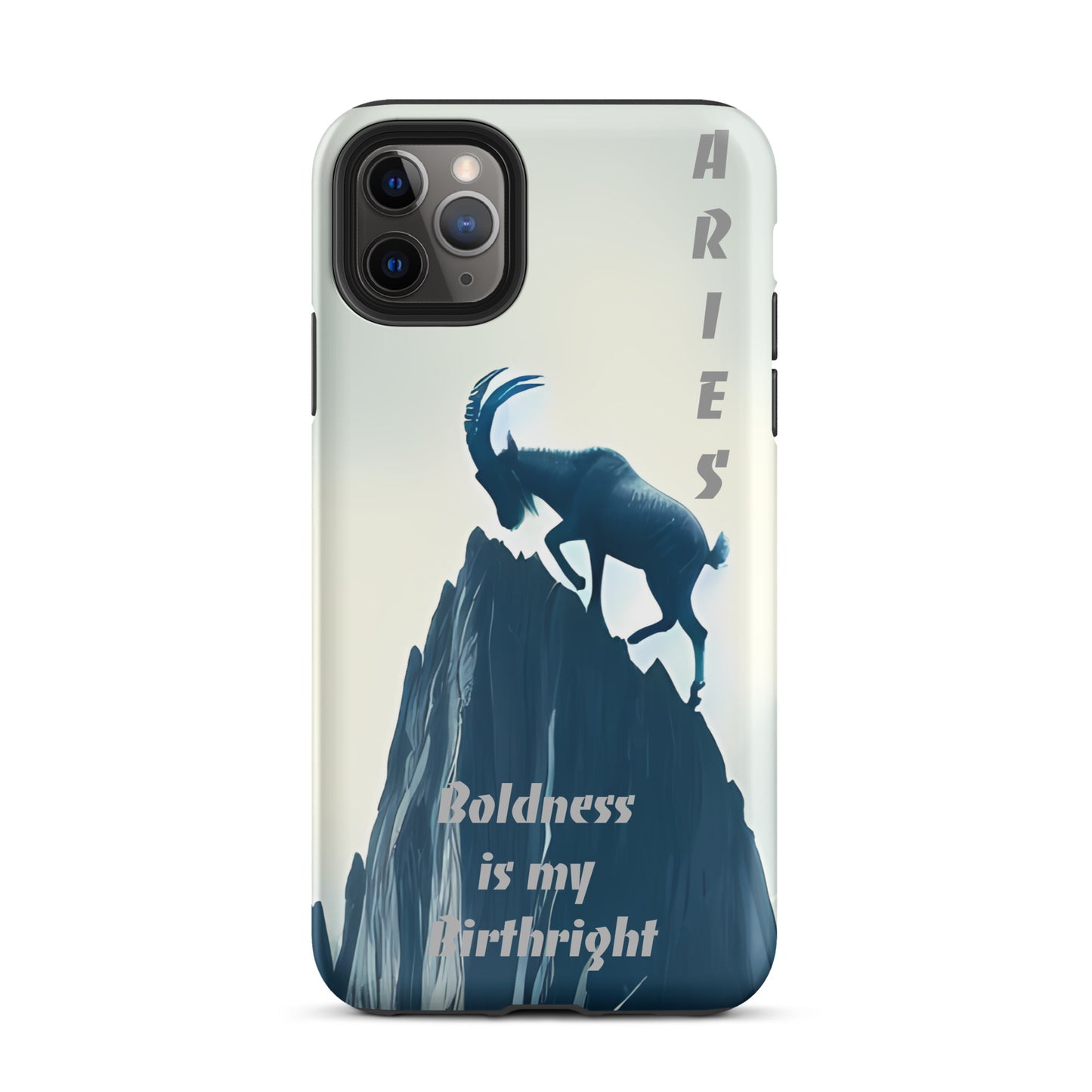 Aries for iPhone®